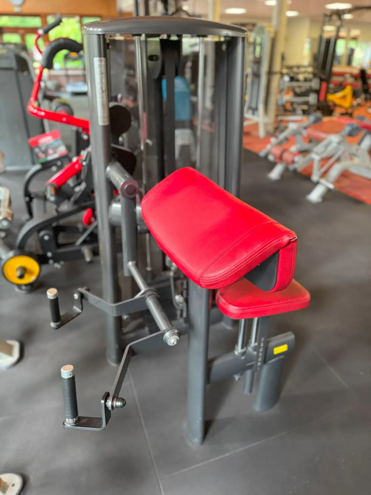 Gym 80 - Biceps Machine