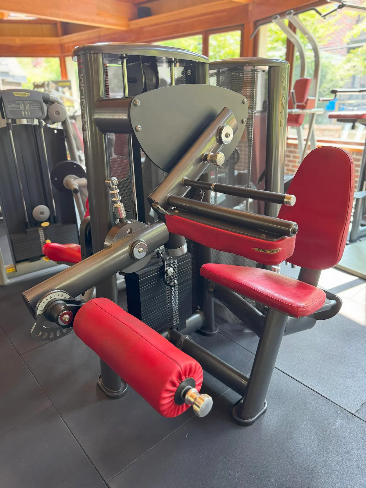 Gym 80 - Seated Leg Curl