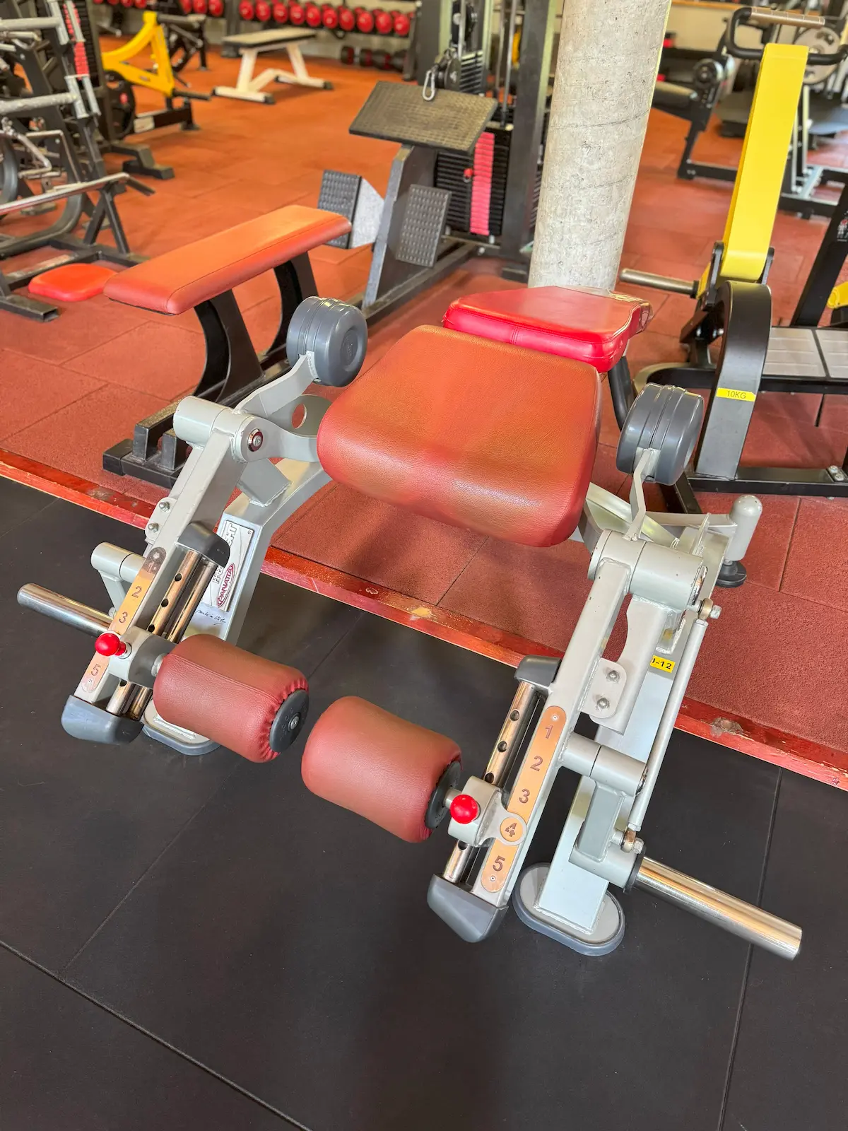 Panatta - Alternate Leg Curling