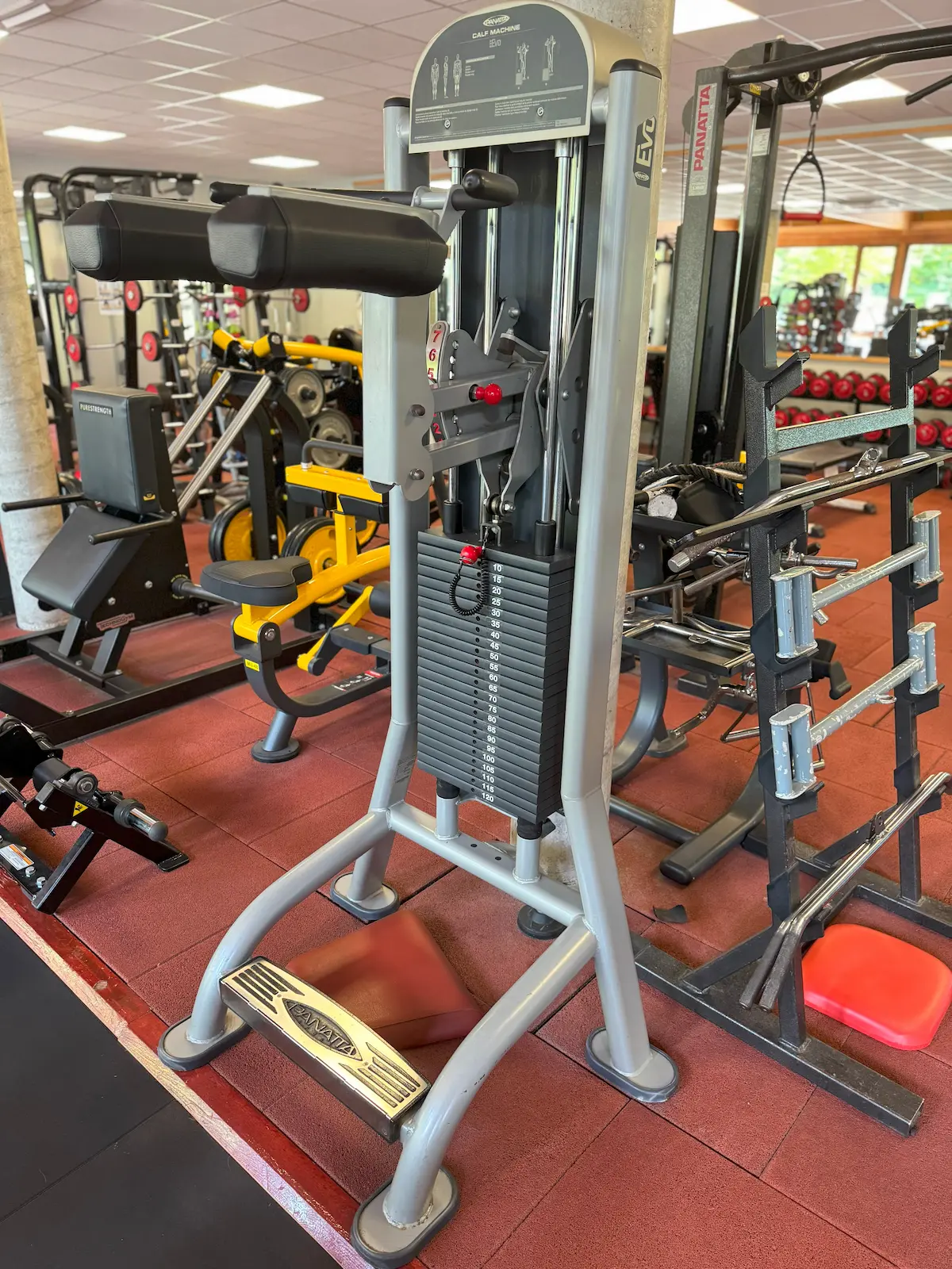 Panatta - Calf machine