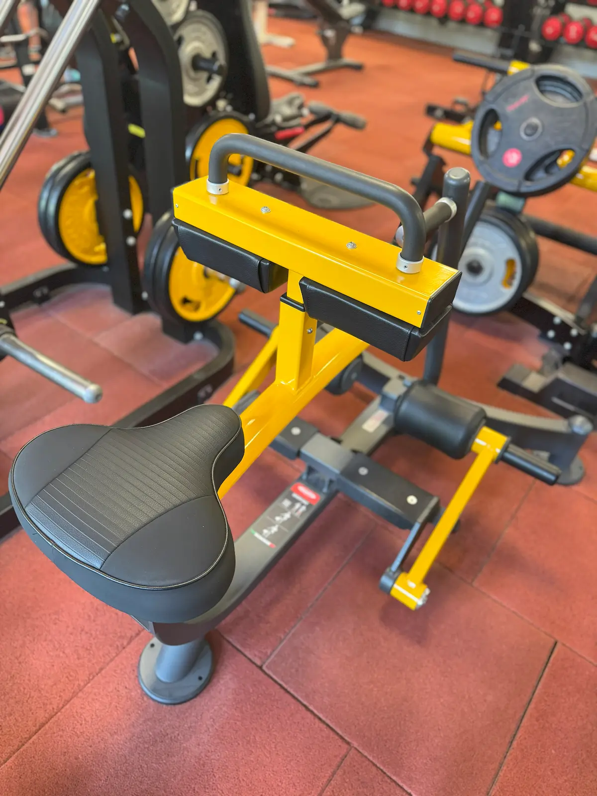 Panatta - Seated Calf