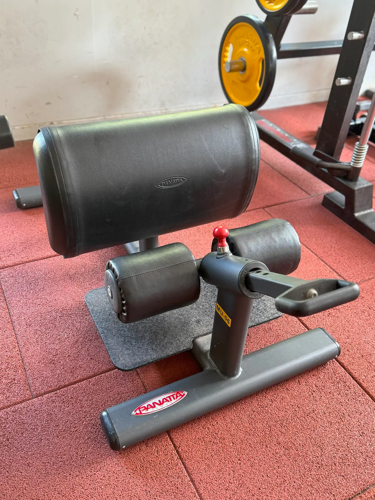 Panatta - Sisi Squat
