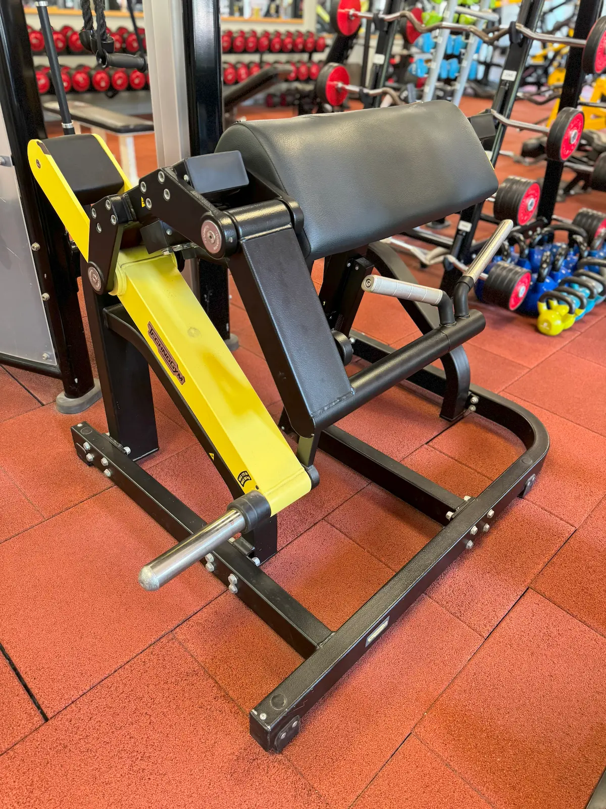 TechnoGym - Pure Biceps