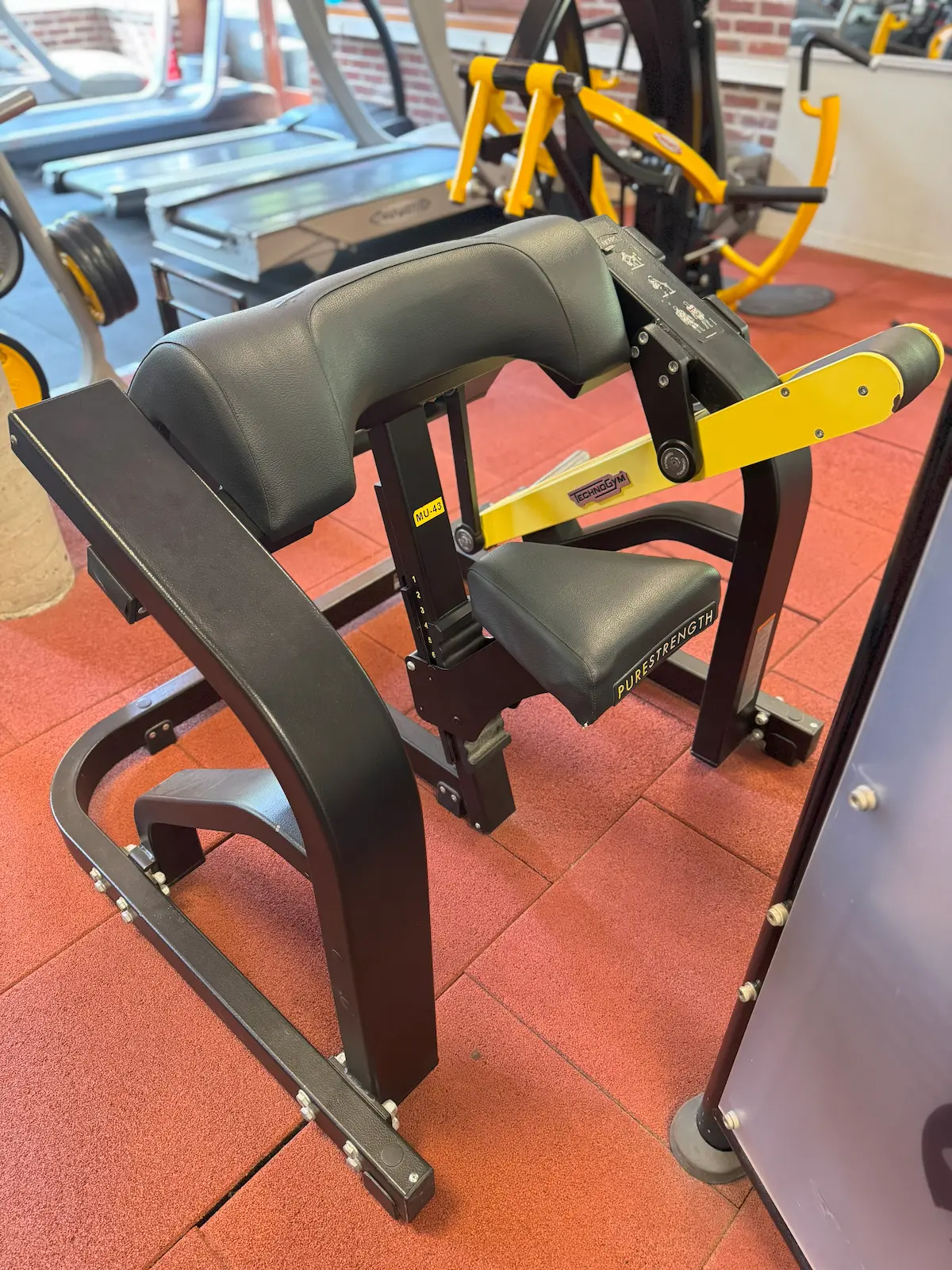 TechnoGym - Pure Biceps