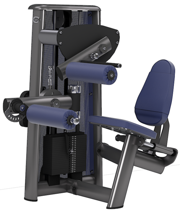 Seated Leg Curl