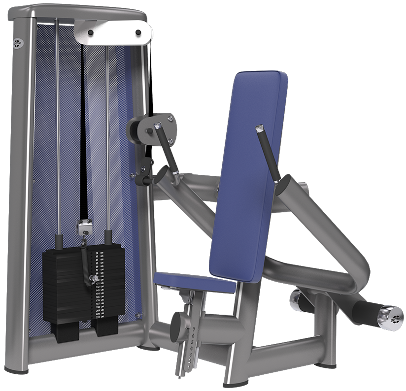 Triceps Vertical