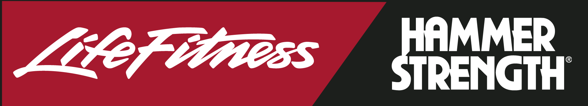 logo lifefitness