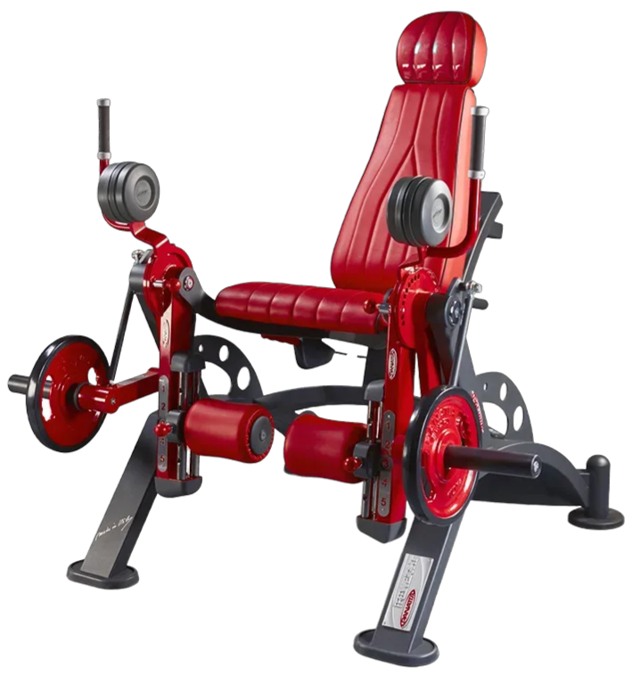 Alternate Leg Extension