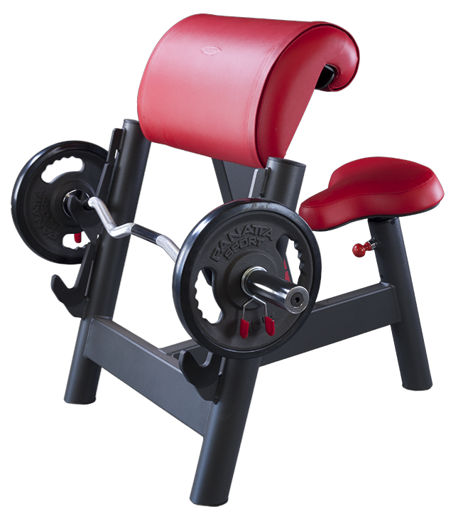 Seated Curl Bench